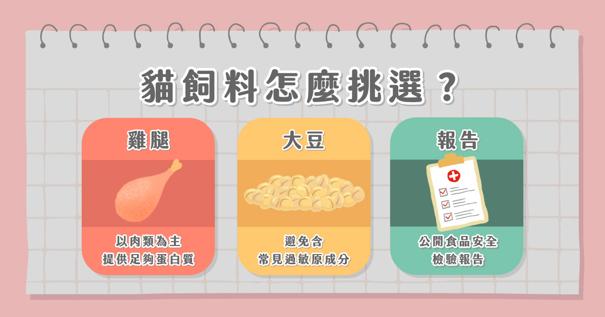 貓飼料怎麼挑選