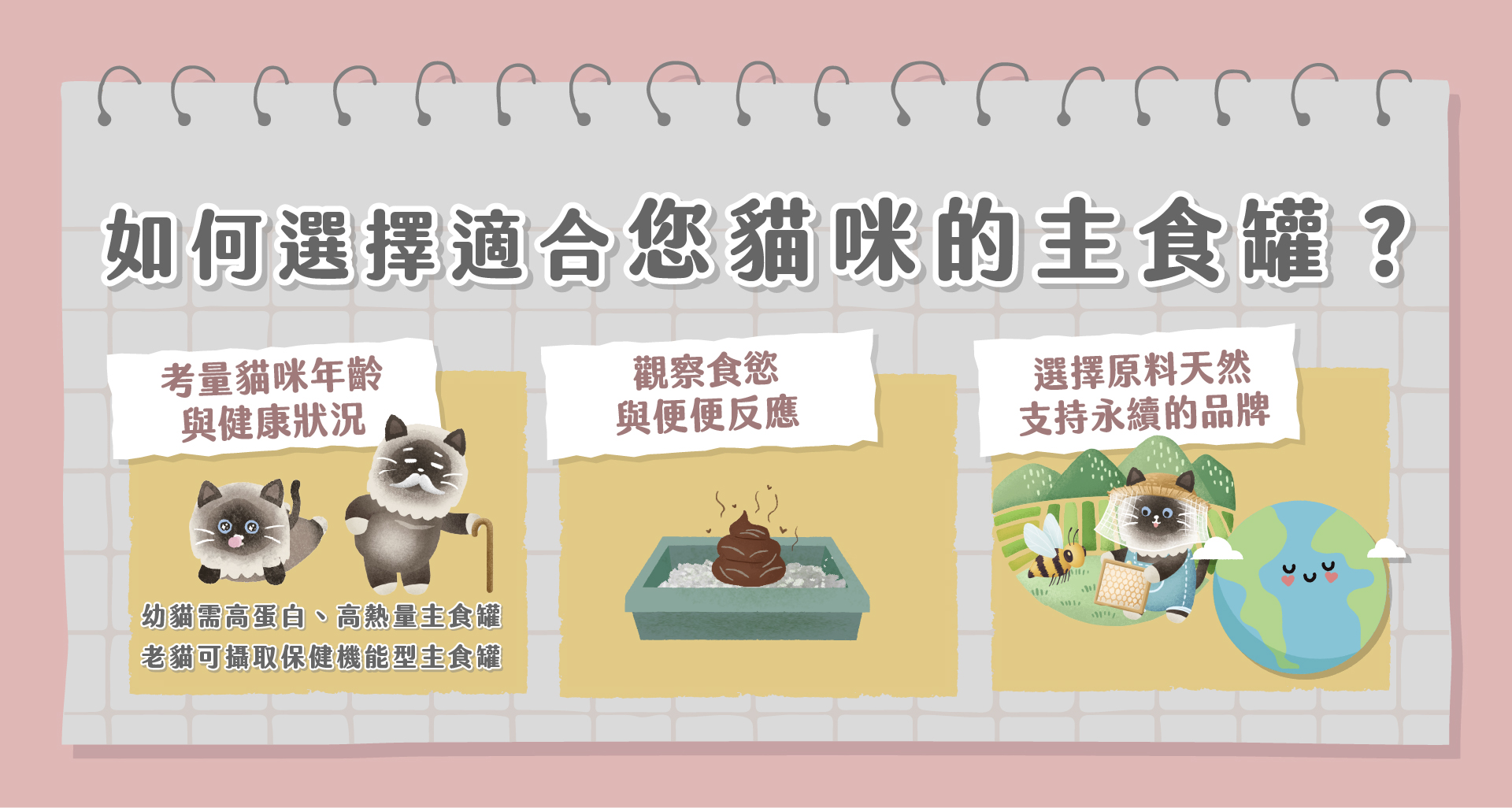 如何選擇適合您貓咪的主食罐