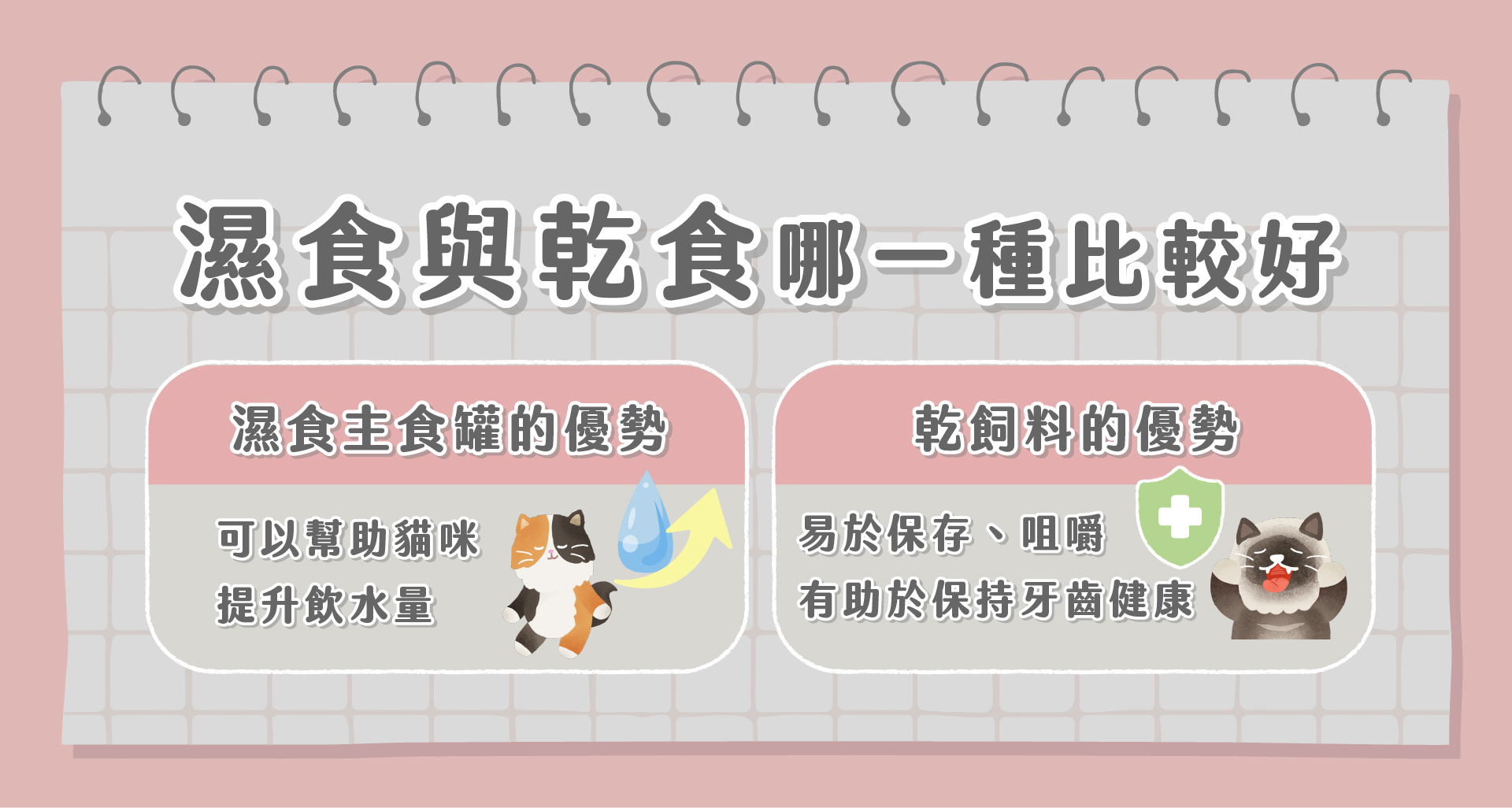 濕食和乾食哪一種比較好