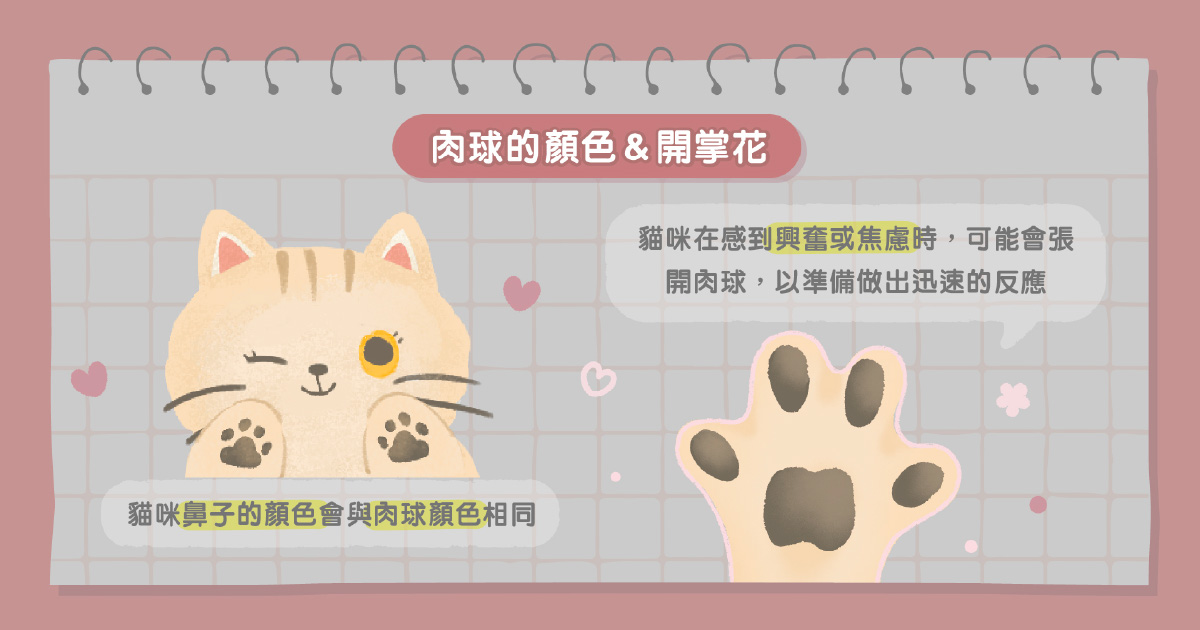 肉球的顏色