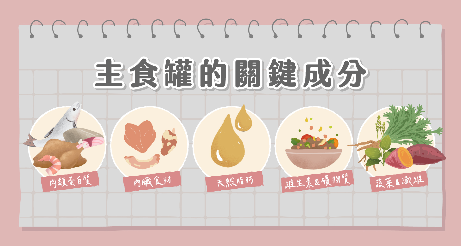 貓咪主食罐怎麼選