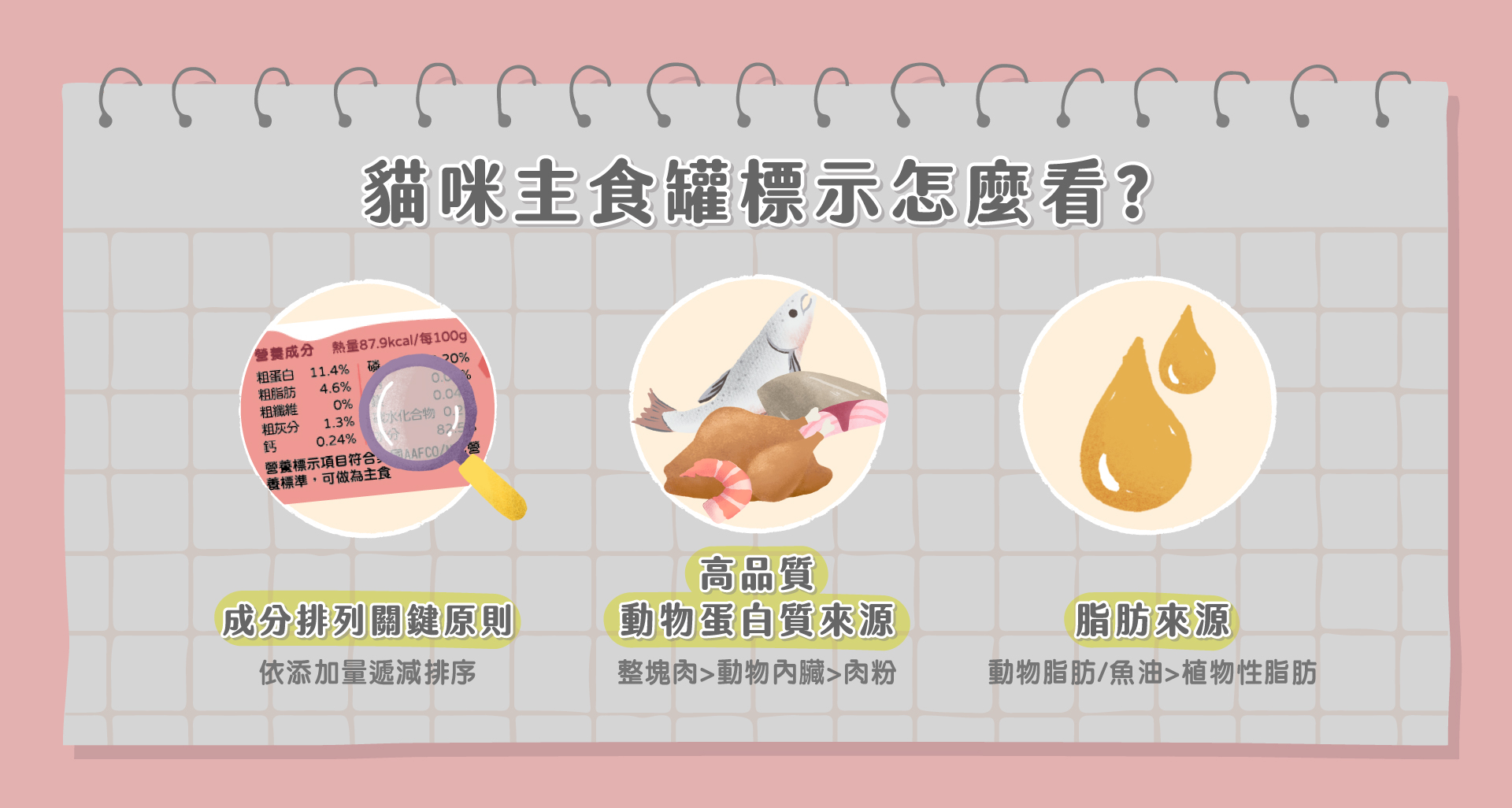貓咪主食罐標示怎麼看