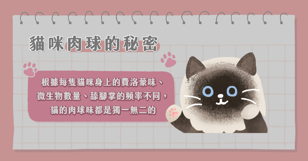 貓咪肉球的秘密