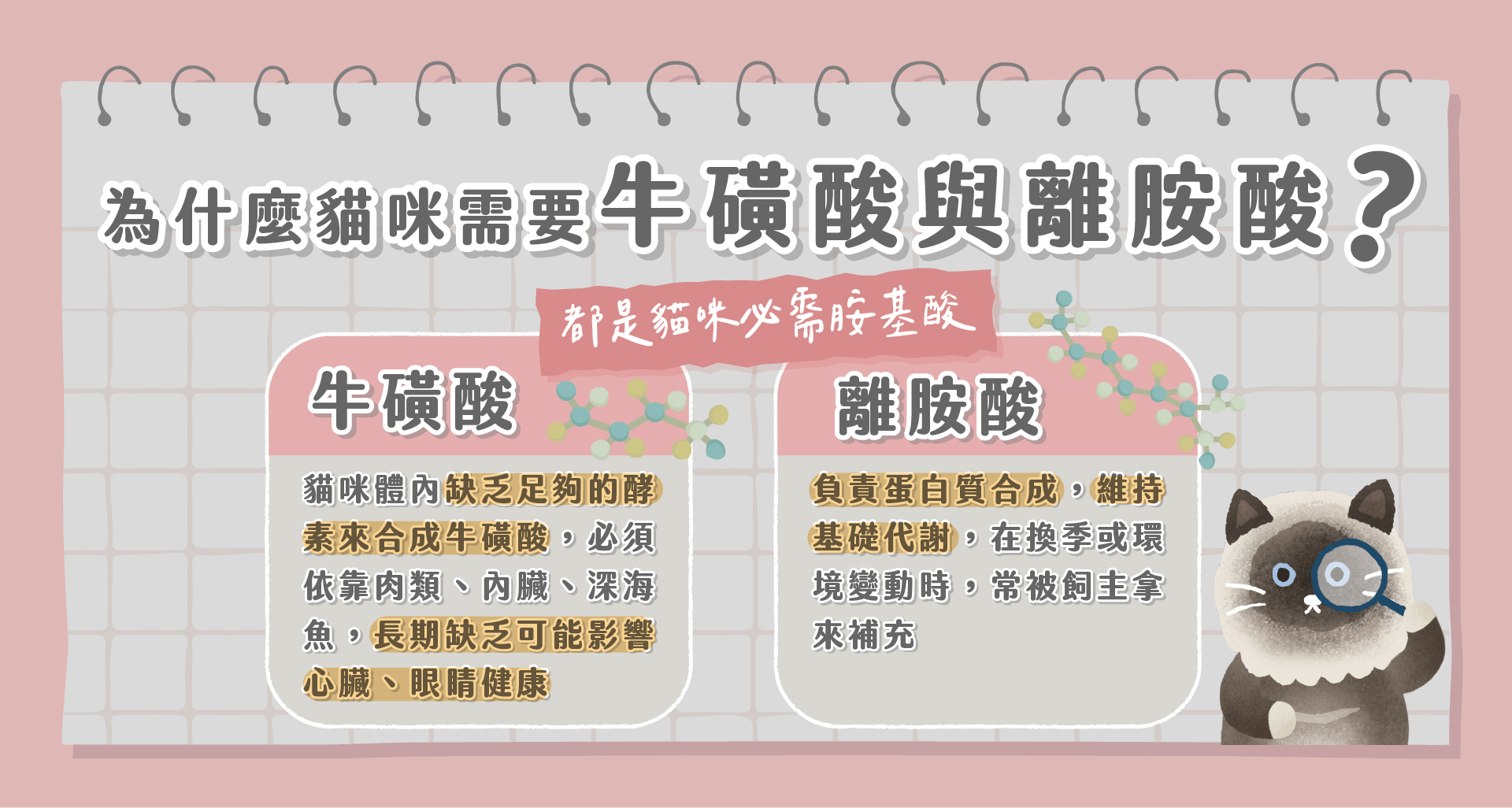 貓咪必需胺基酸