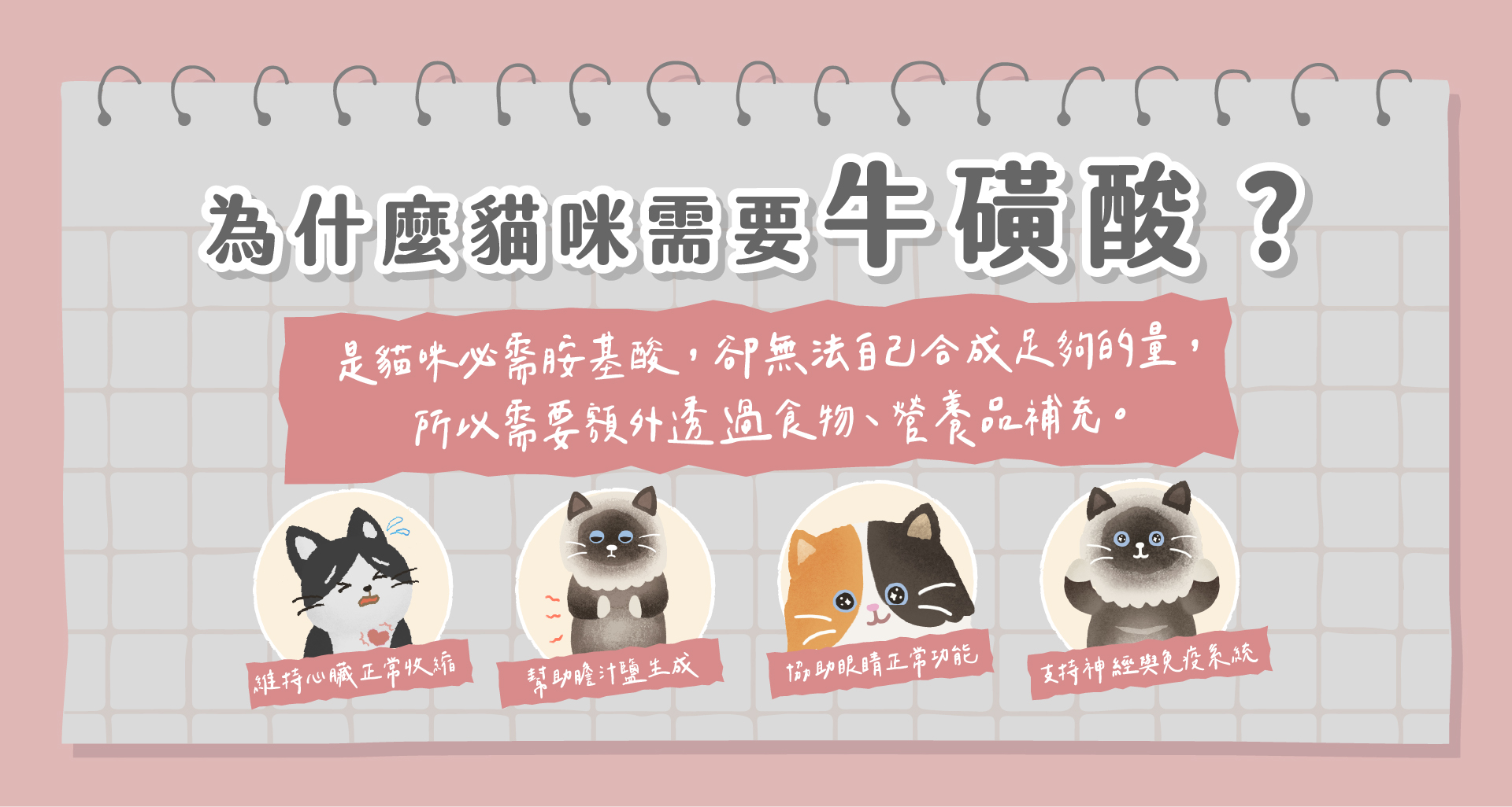 為什麼貓咪需要牛磺酸