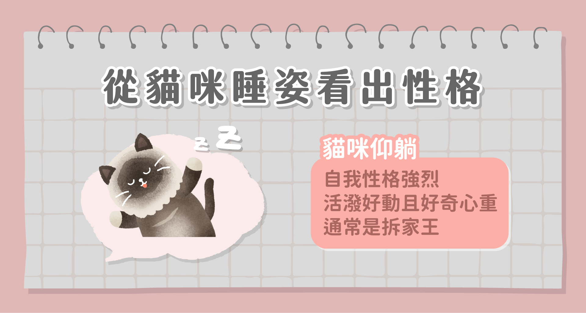 從睡姿看貓咪性格