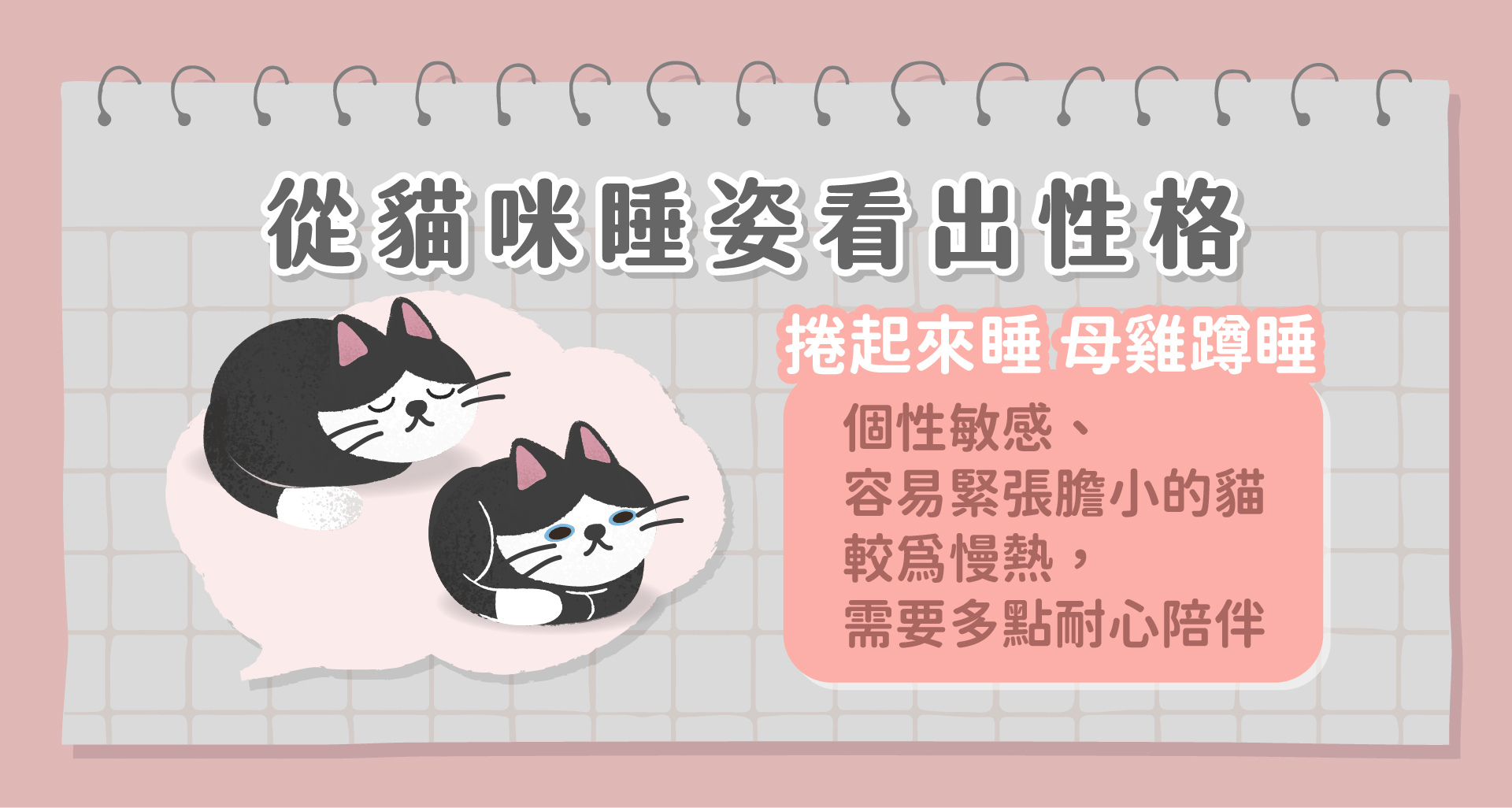 貓咪睡姿大解析，翻肚睡、趴著睡都能看出貓咪隱藏性格– Munchee貪貪