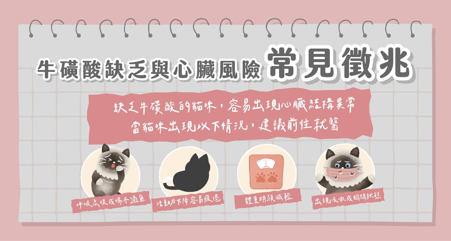 貓咪缺乏牛磺酸