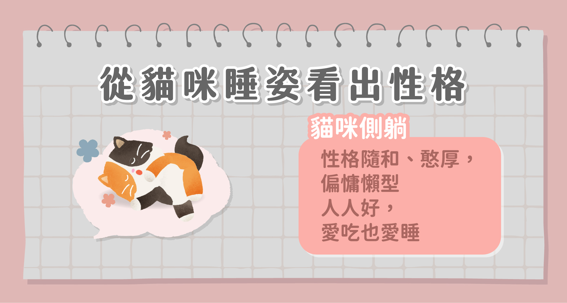 貓咪睡姿大解析，翻肚睡、趴著睡都能看出貓咪隱藏性格– Munchee貪貪