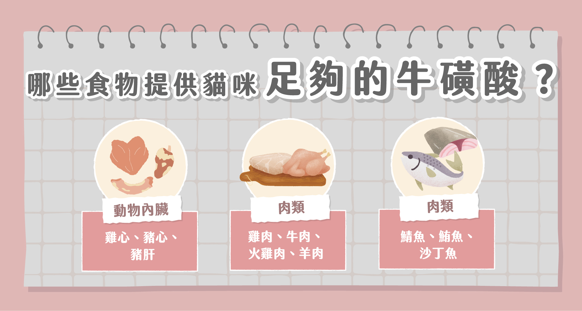 貓咪牛磺酸攝取來源