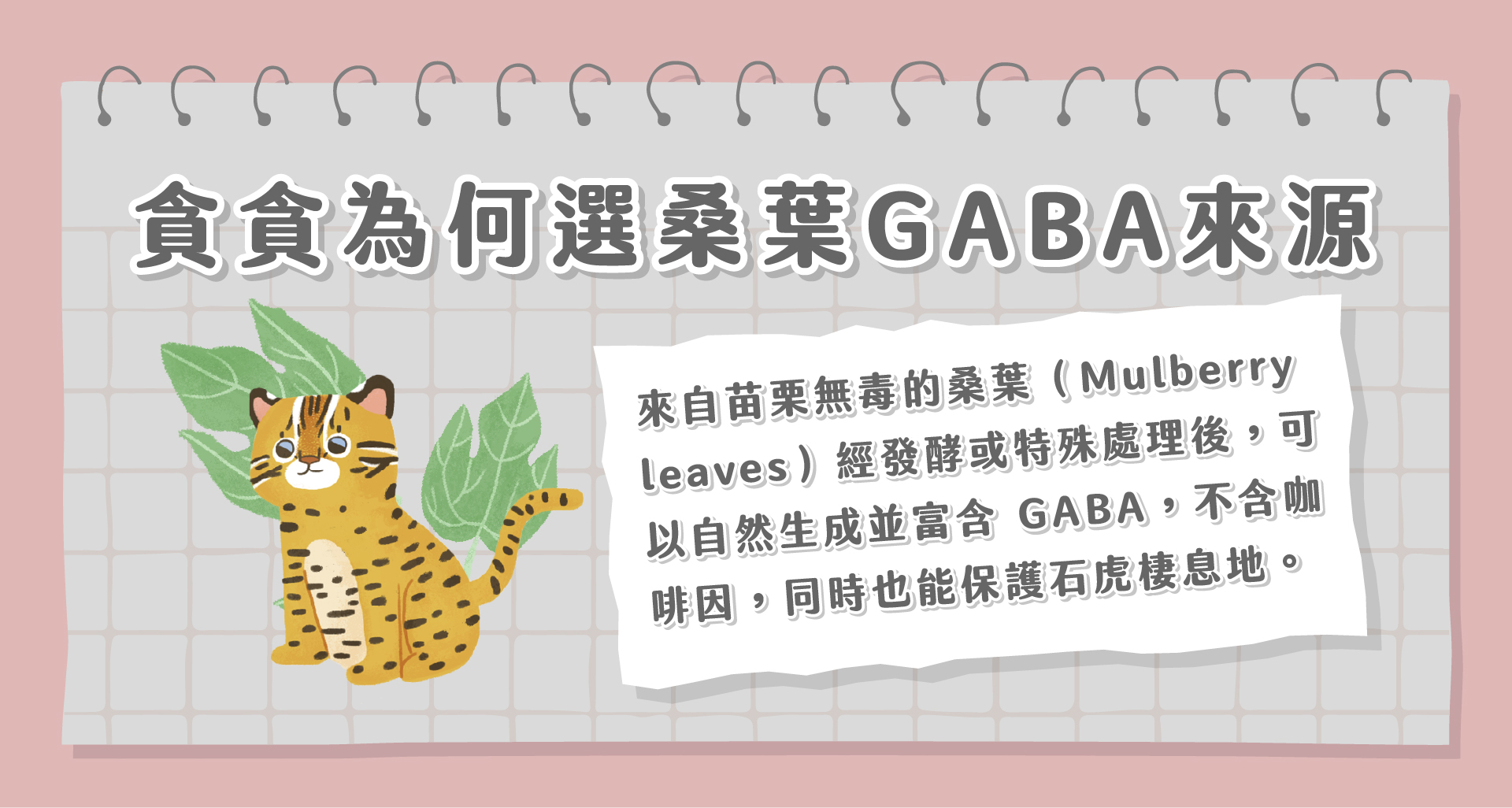 貓咪GABA攝取來源