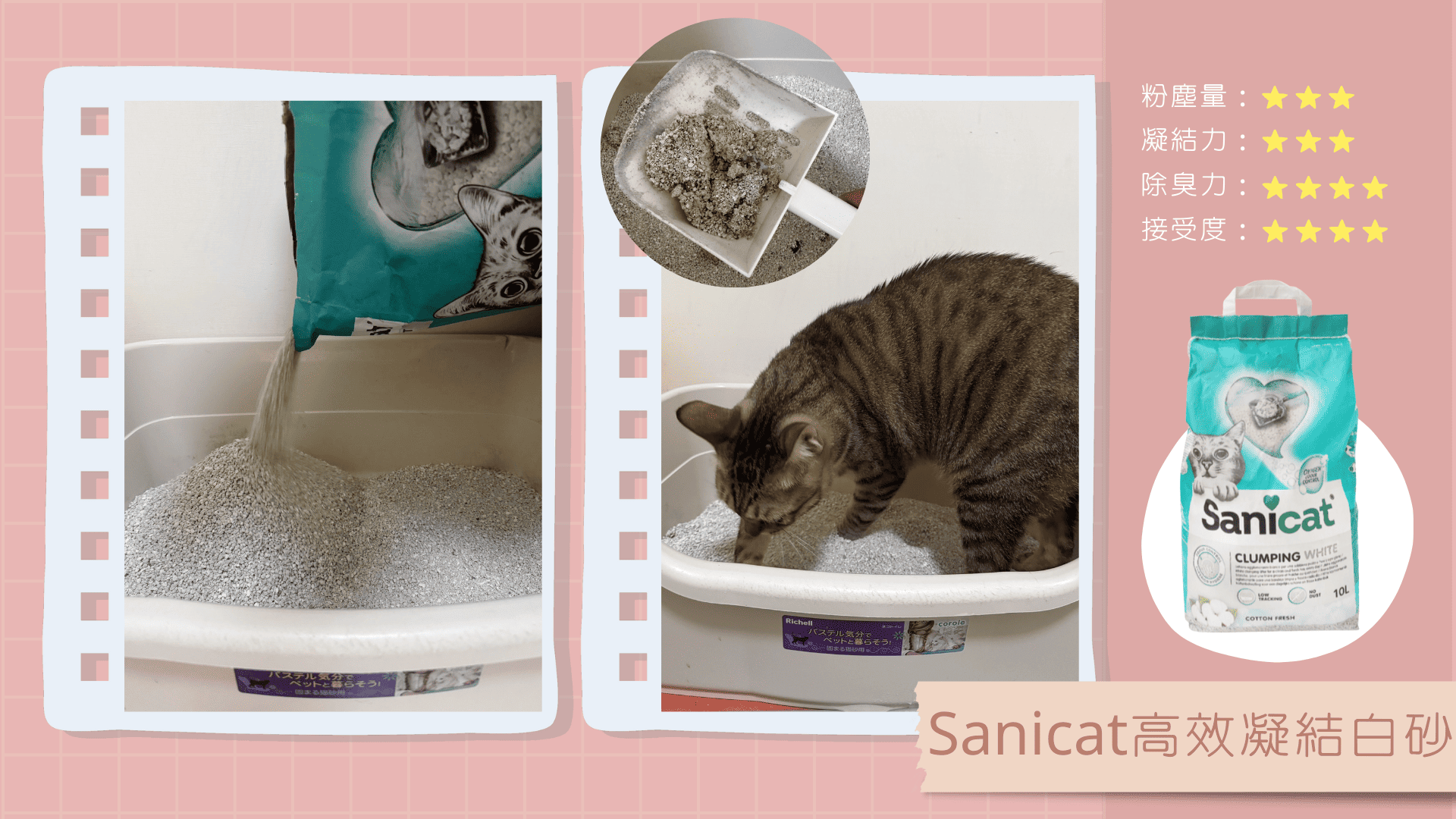 【Sanicat】高效凝結白砂