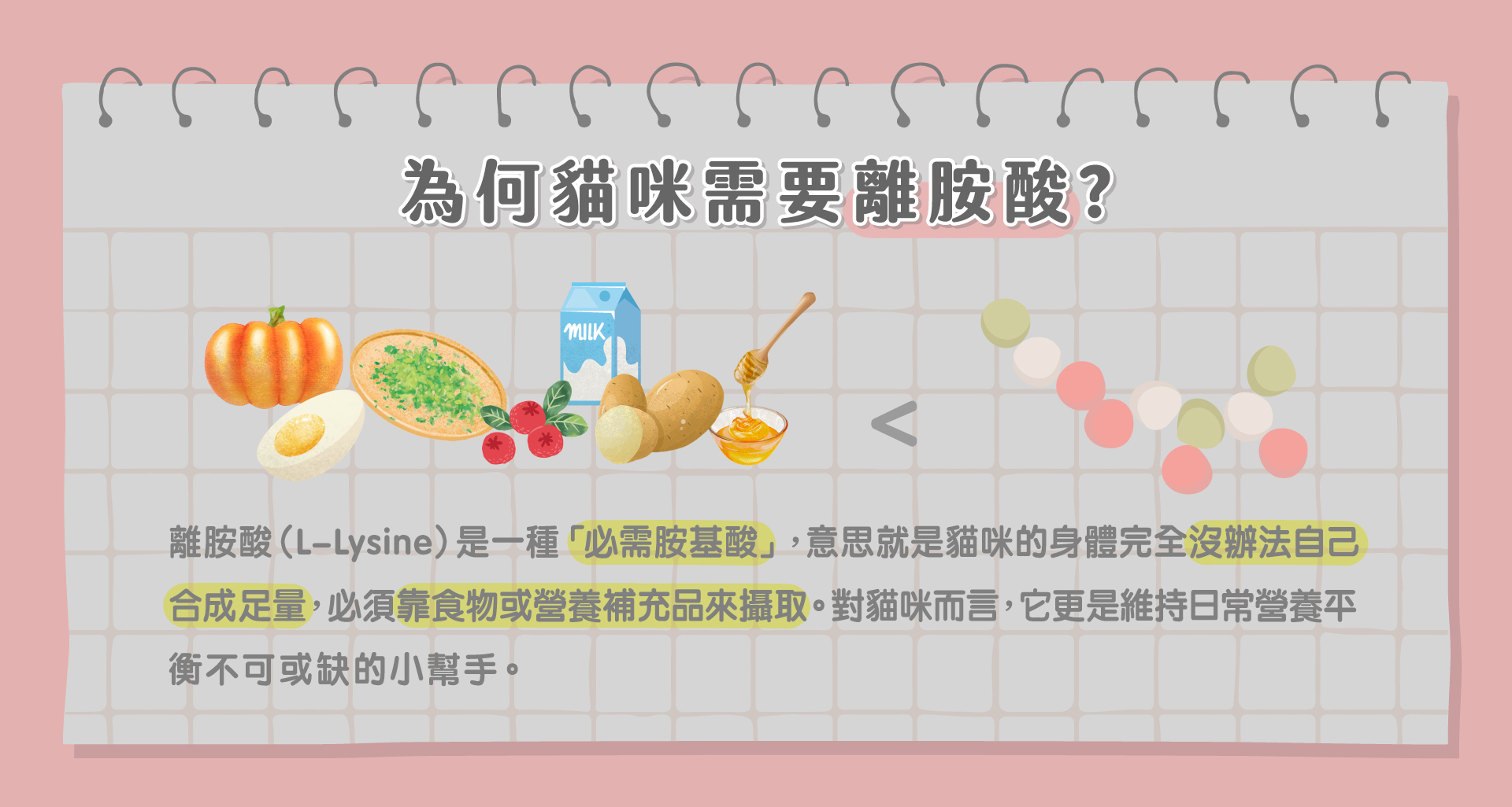 為何貓咪需要離胺酸