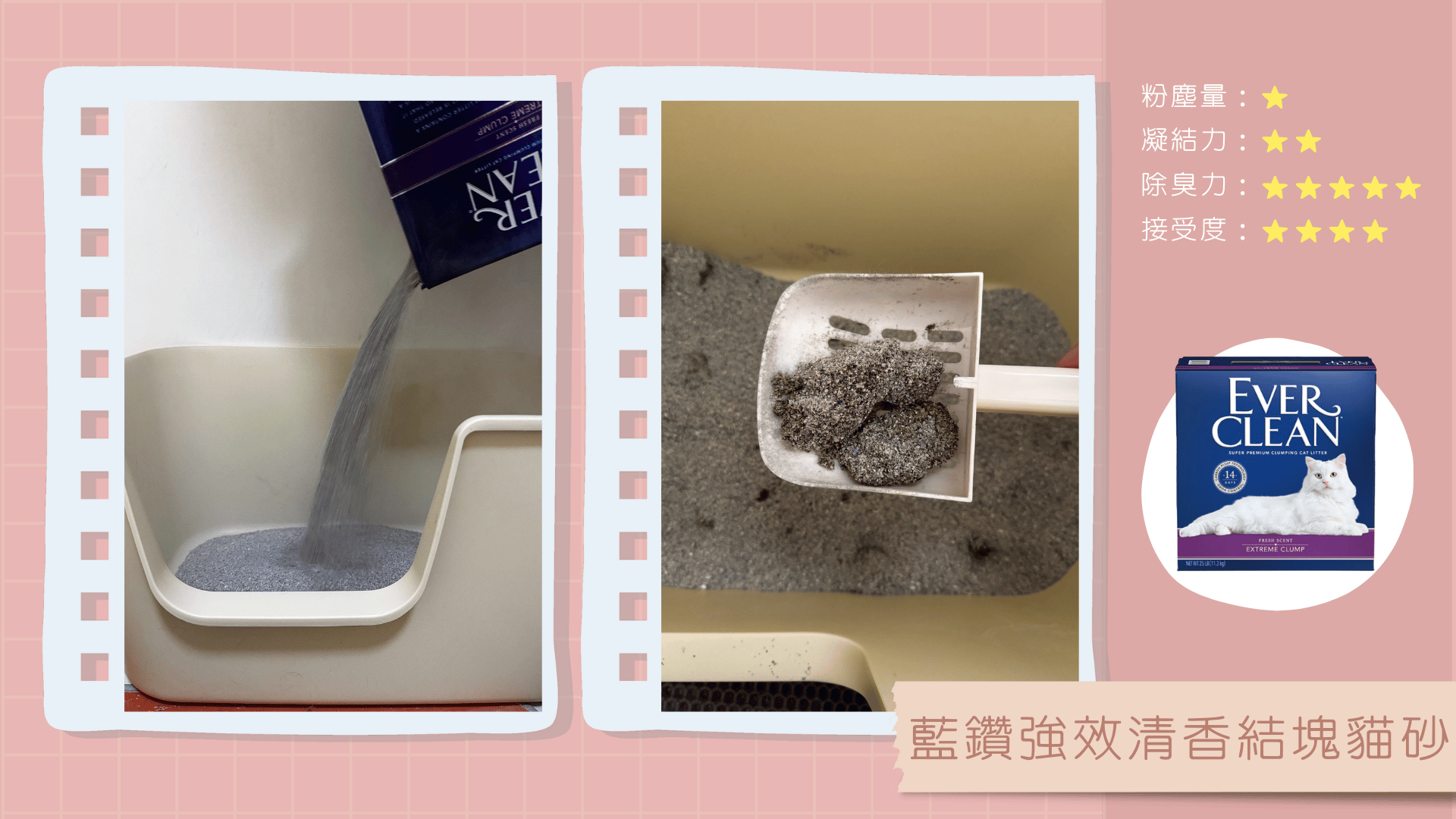 【EverClean藍鑽】強效清香結塊貓砂