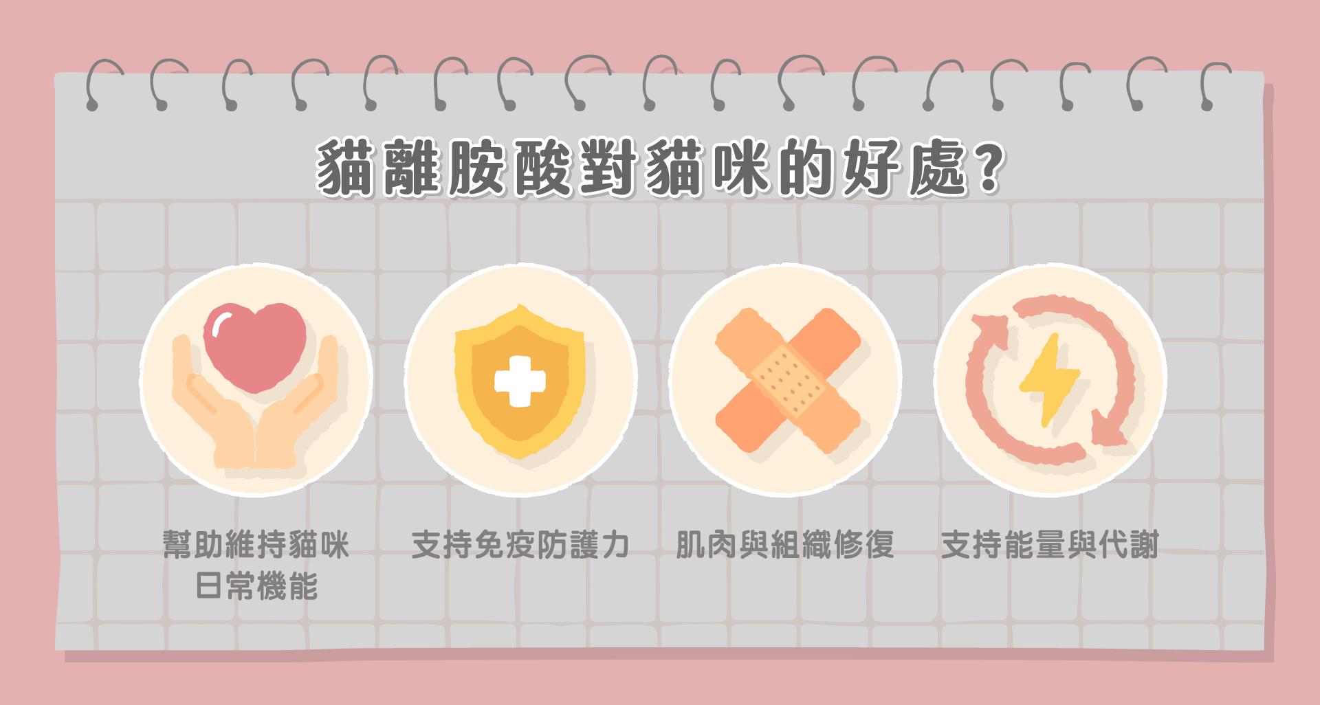 貓 離胺酸對貓咪的好處