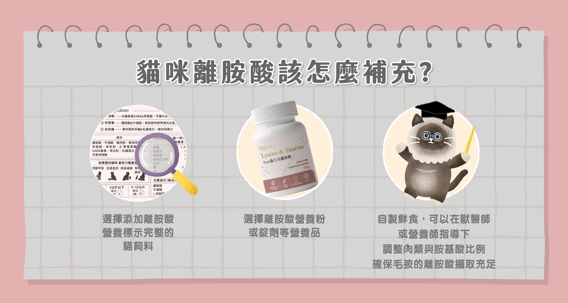 貓咪離胺酸該怎麼補充