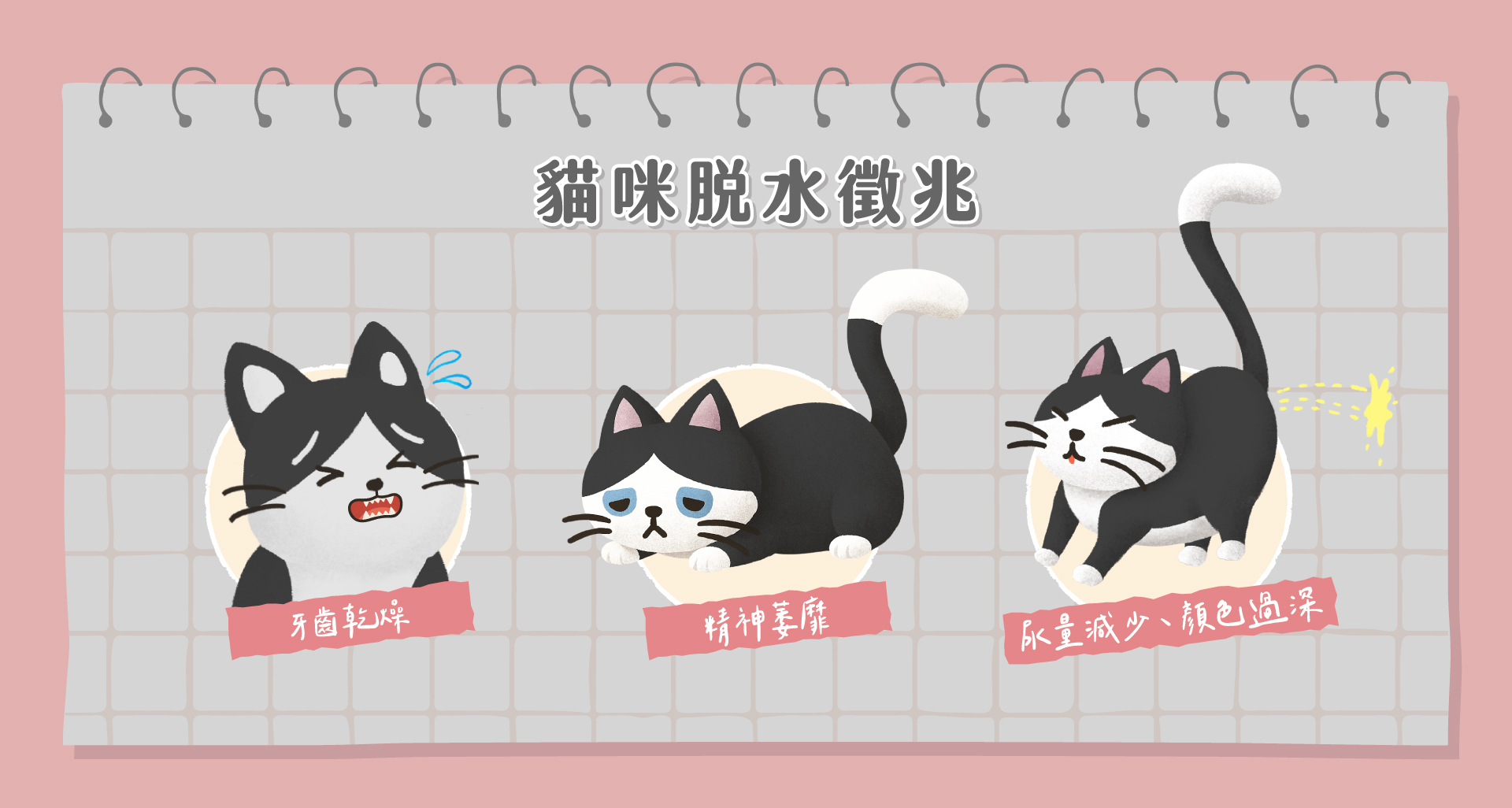 「貓咪脫水徵兆」插圖,顯示三種常見症狀:牙齦乾燥、精神萎靡、尿量減少且尿液顏色過深,提醒飼主注意貓咪水分攝取與健康狀況,避免脫水問題發生。