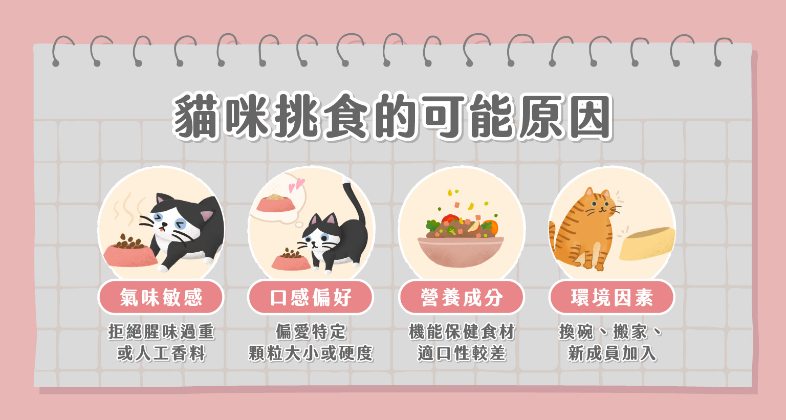 貓咪挑食可能原因示意圖：包含氣味敏感、口感偏好、營養成分差異與環境因素四大面向，並以可愛插畫呈現貓咪拒食、挑選飼料與受環境影響的行為。