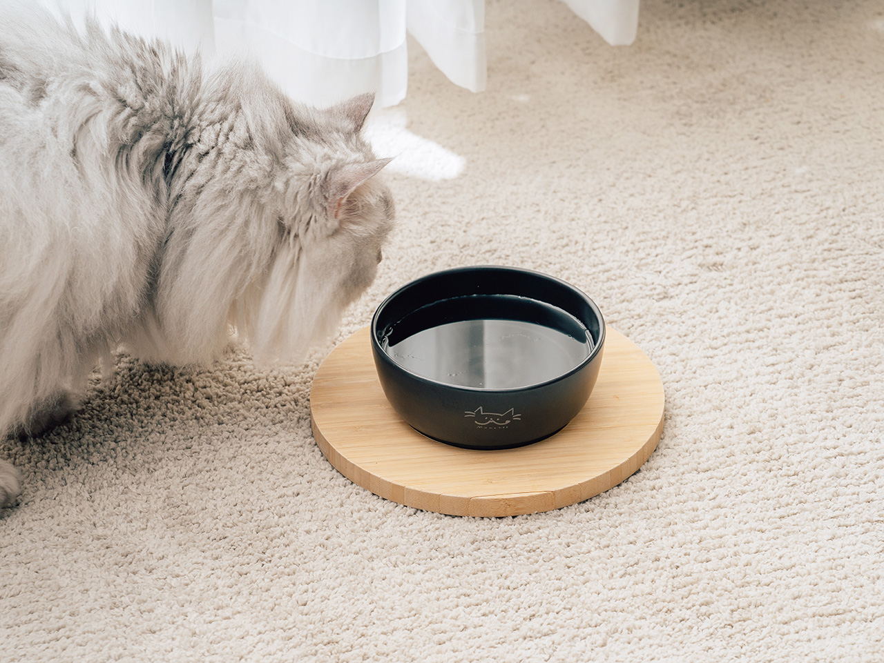 ▲用菱角殼做原物料開發的水碗，讓貓咪多喝水。貪貪提供