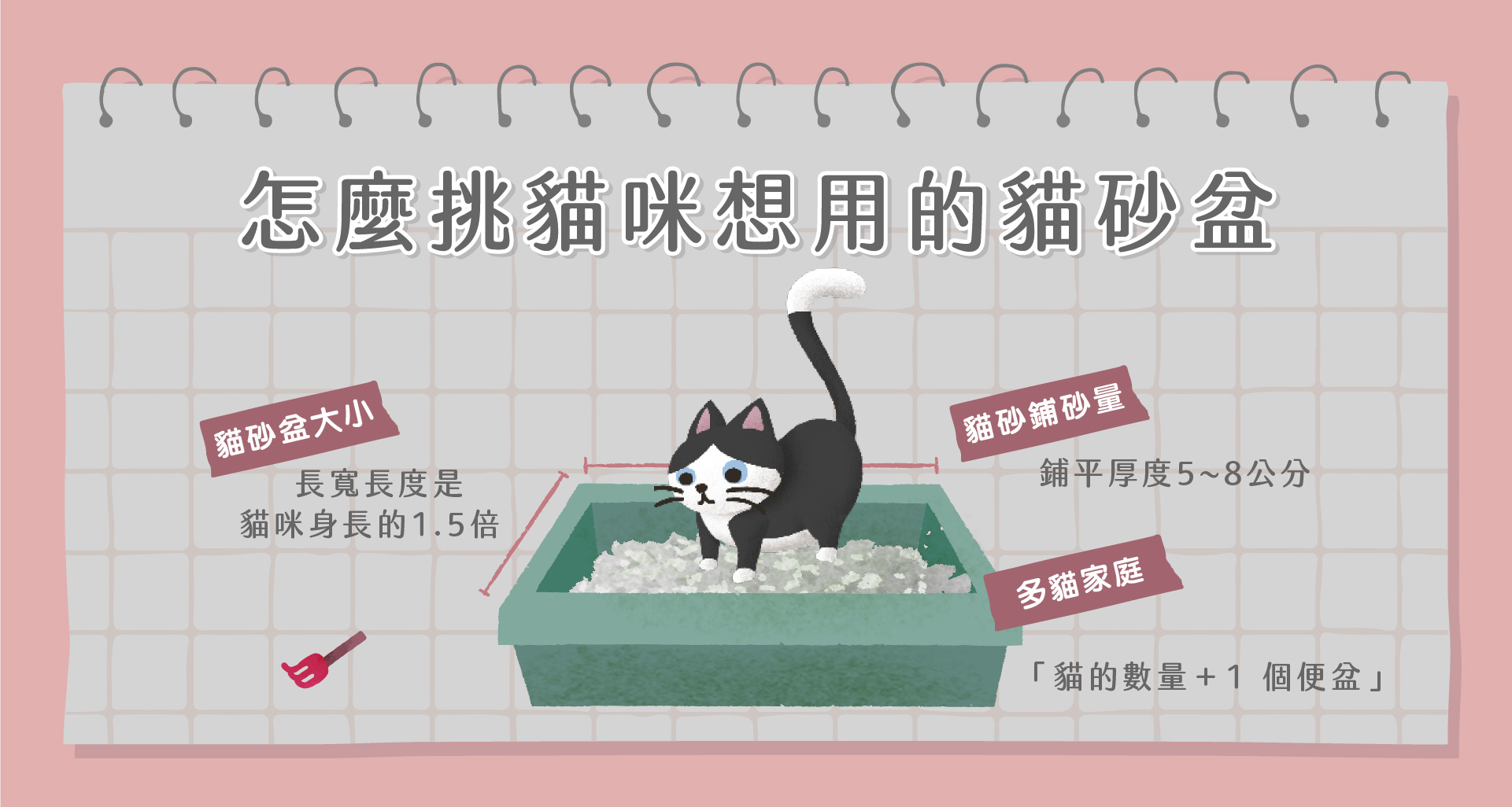 貓砂功能(除臭)(貓砂盆)