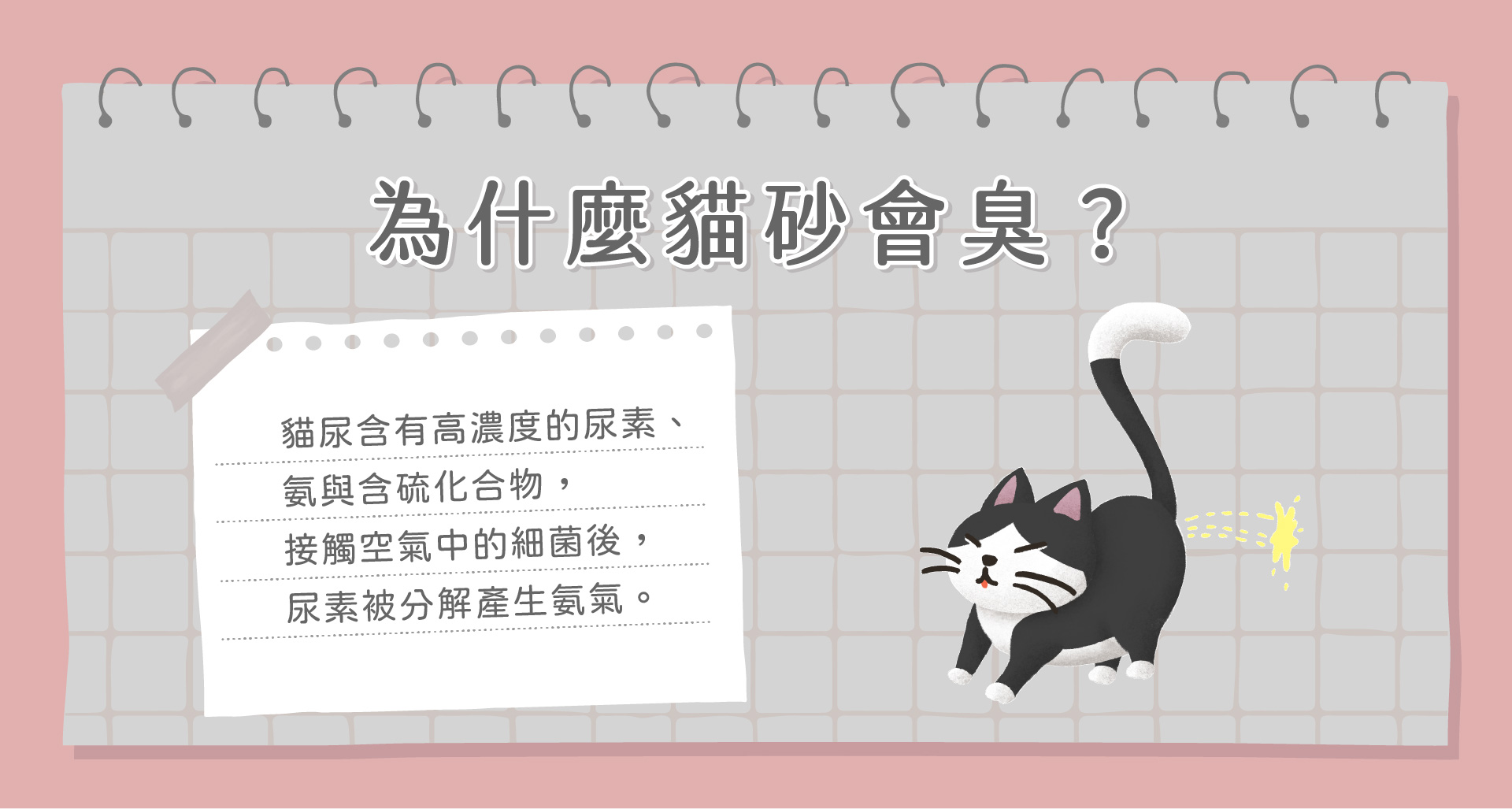 貓砂除臭(烏金)