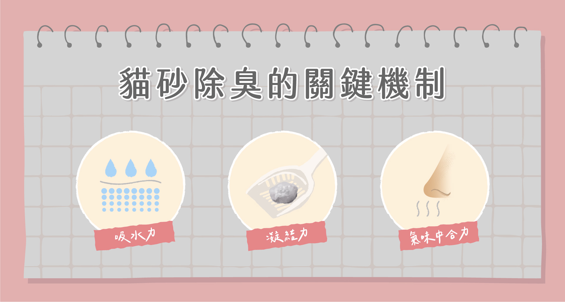 貓砂除臭(烏金)