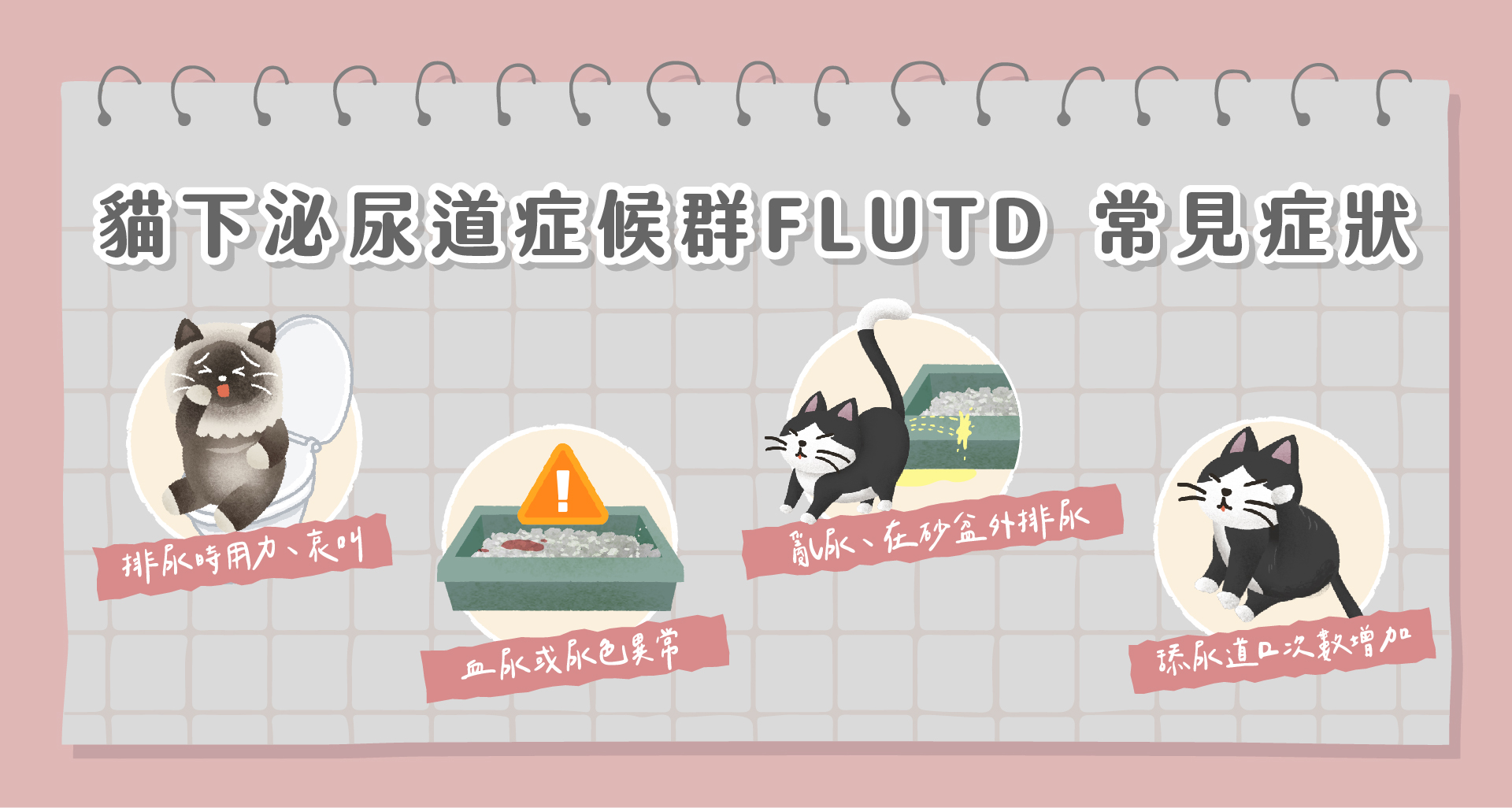 貓下泌尿道症候群FLUTD 常見症狀