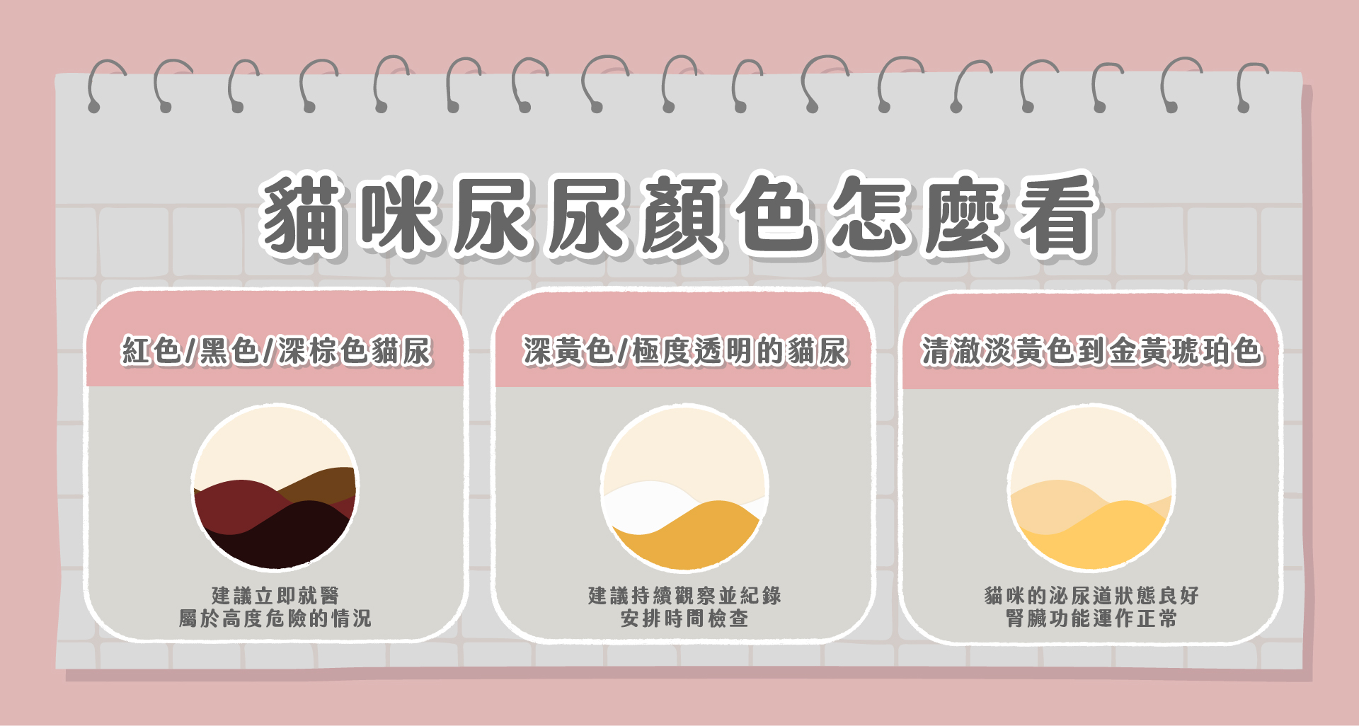 貓尿顏色怎麼看？尿塊大小多大才正常?