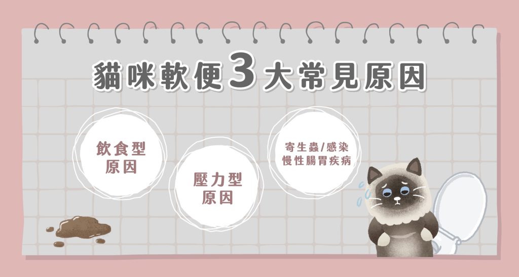 貓咪軟便