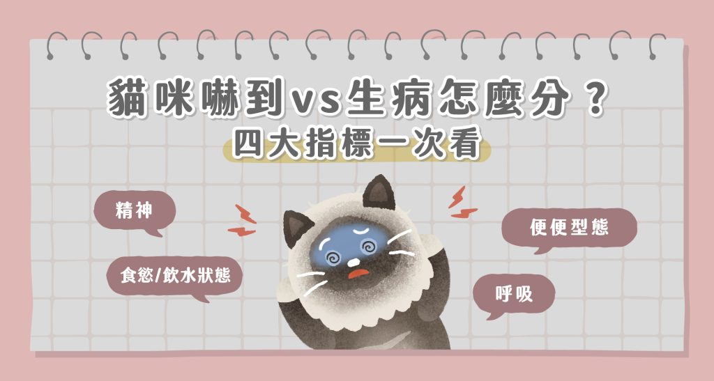 貓嚇到