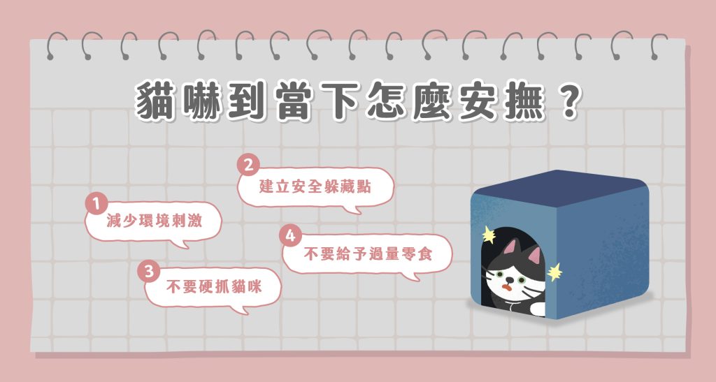 貓嚇到