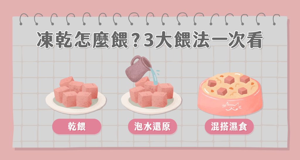 挑食貓