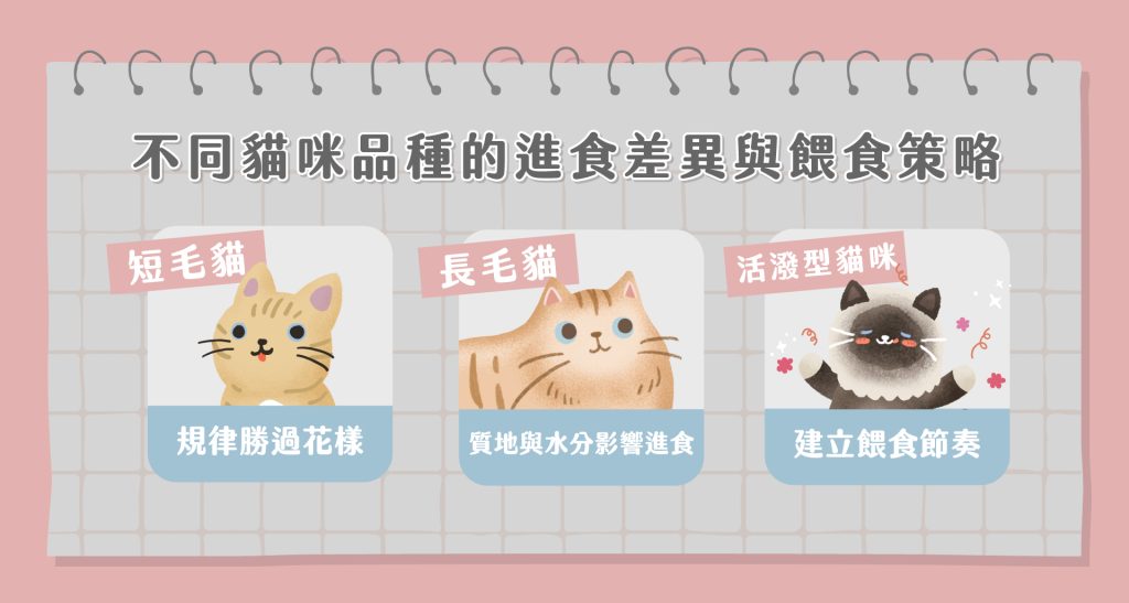 貓咪品種