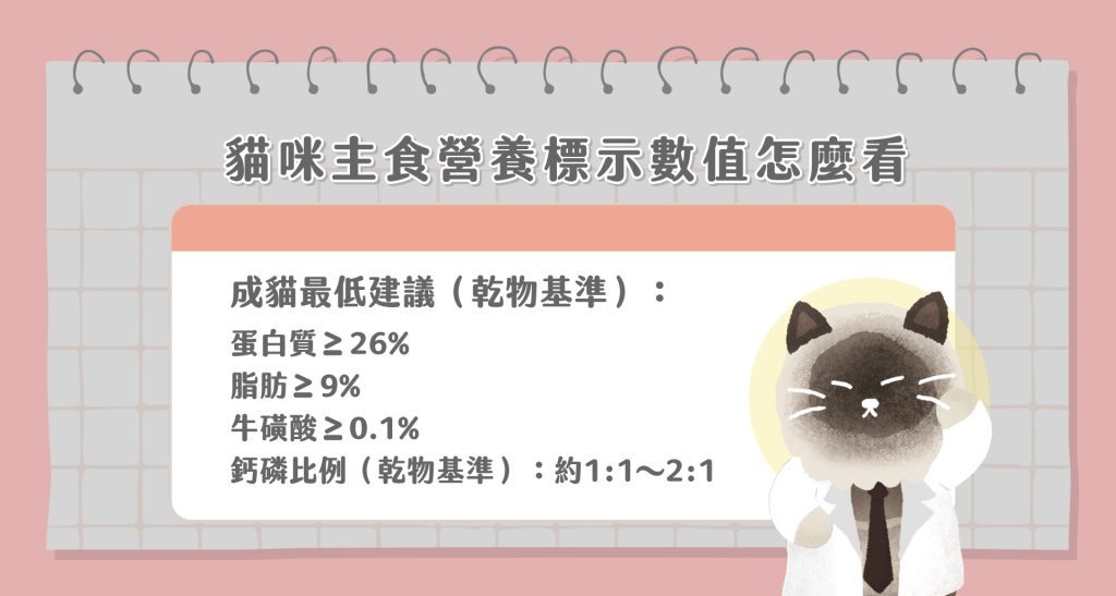 貓咪品種