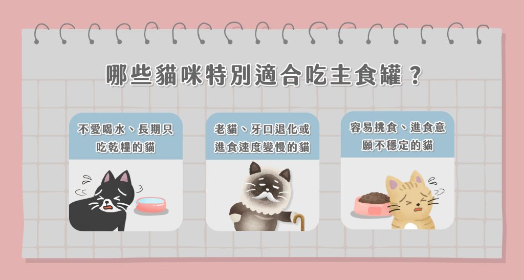 貓咪主食罐有哪些好處？