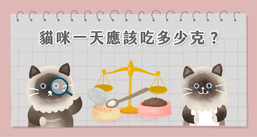 貓咪一天吃多少克？