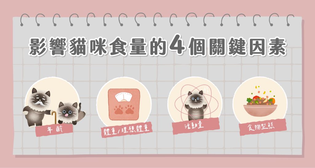貓咪一天吃多少克？