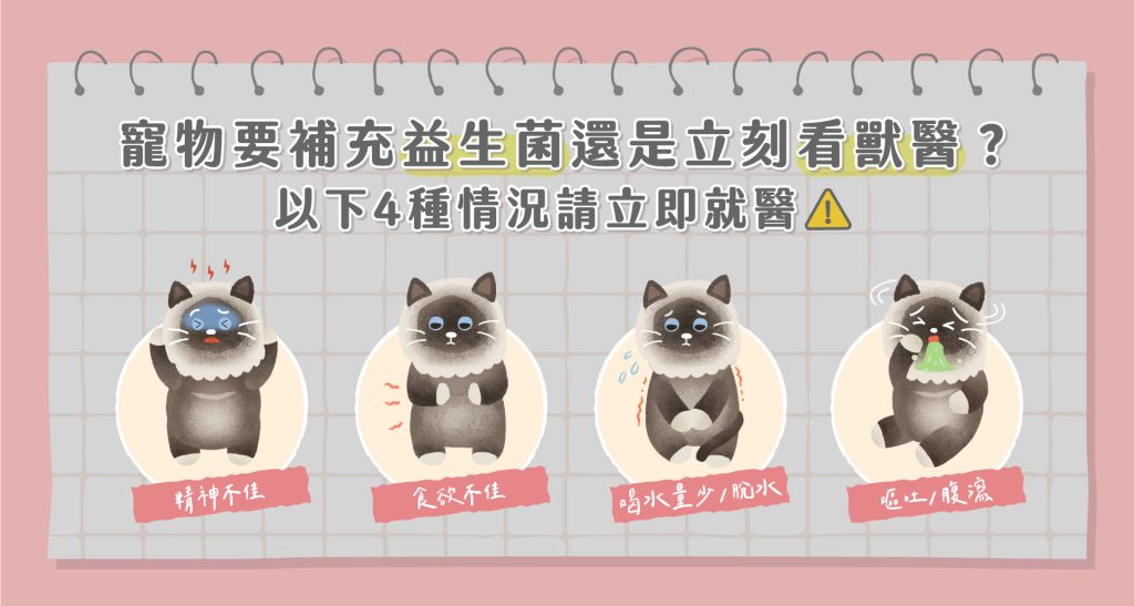 寵物可以吃人的益生菌嗎