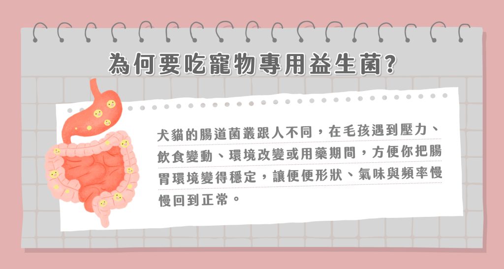 寵物可以吃人的益生菌嗎