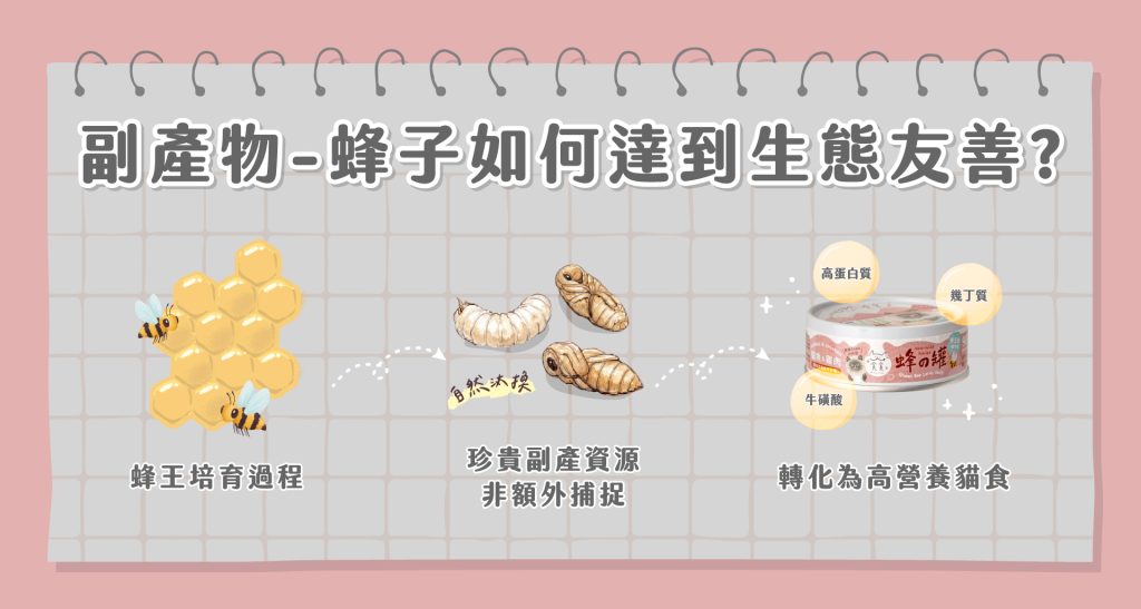 永續貓食