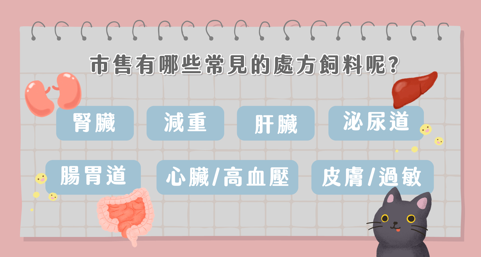 市售常見的處方飼料