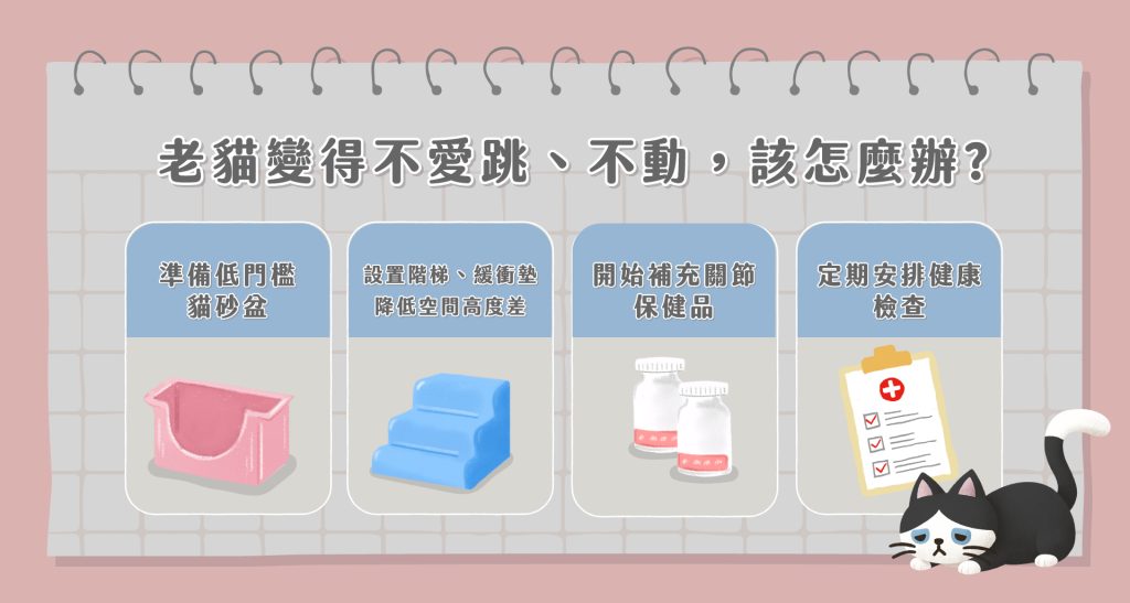 老貓照顧