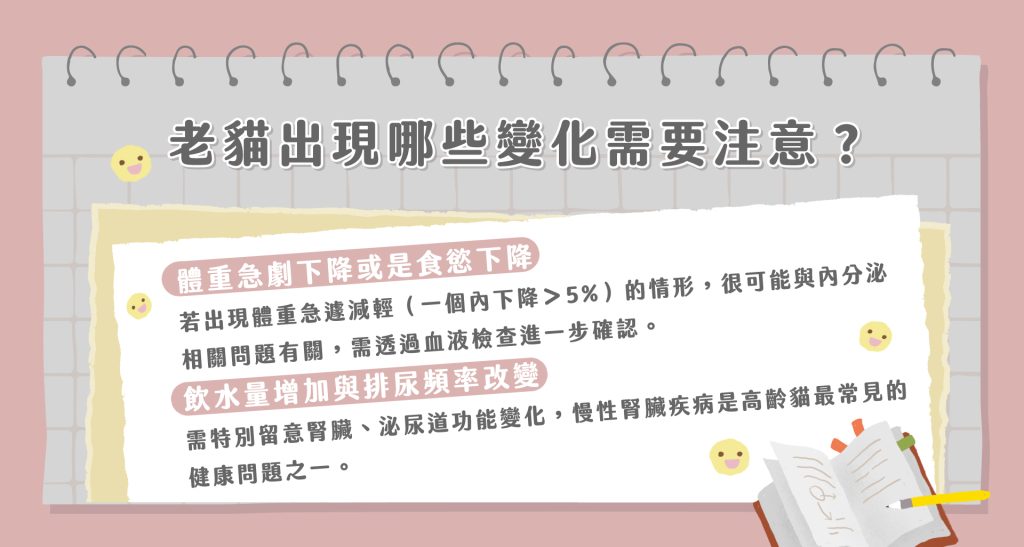 老貓照顧