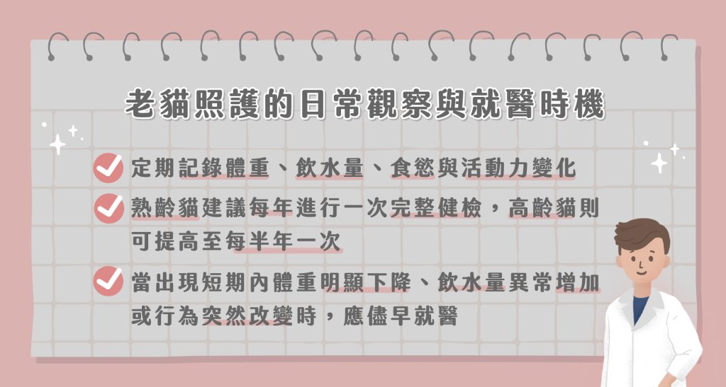 老貓照顧