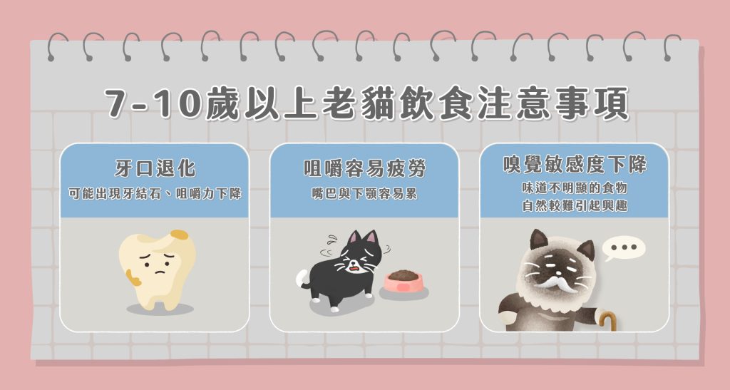 老貓只吃肉泥
