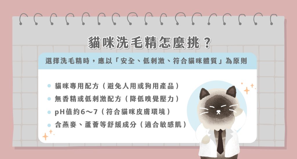 貓咪洗澡