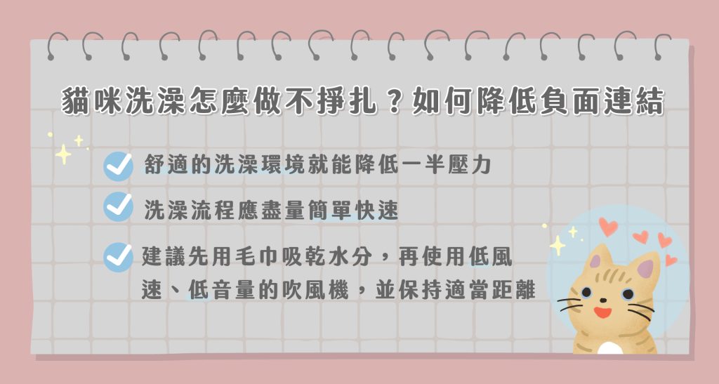 貓咪洗澡