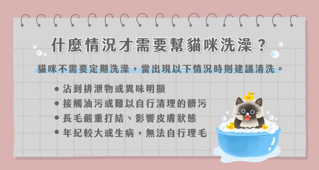 貓咪洗澡
