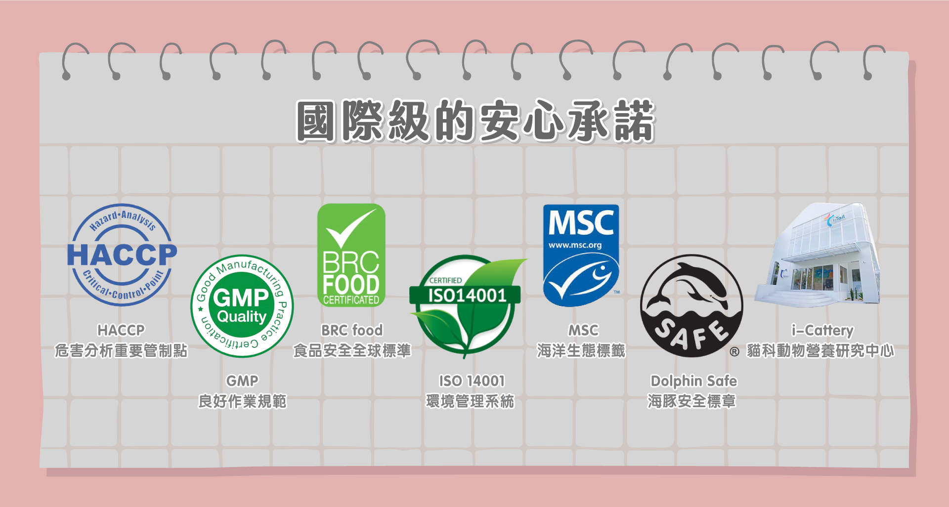 功夫湯罐由國外知名大廠生產