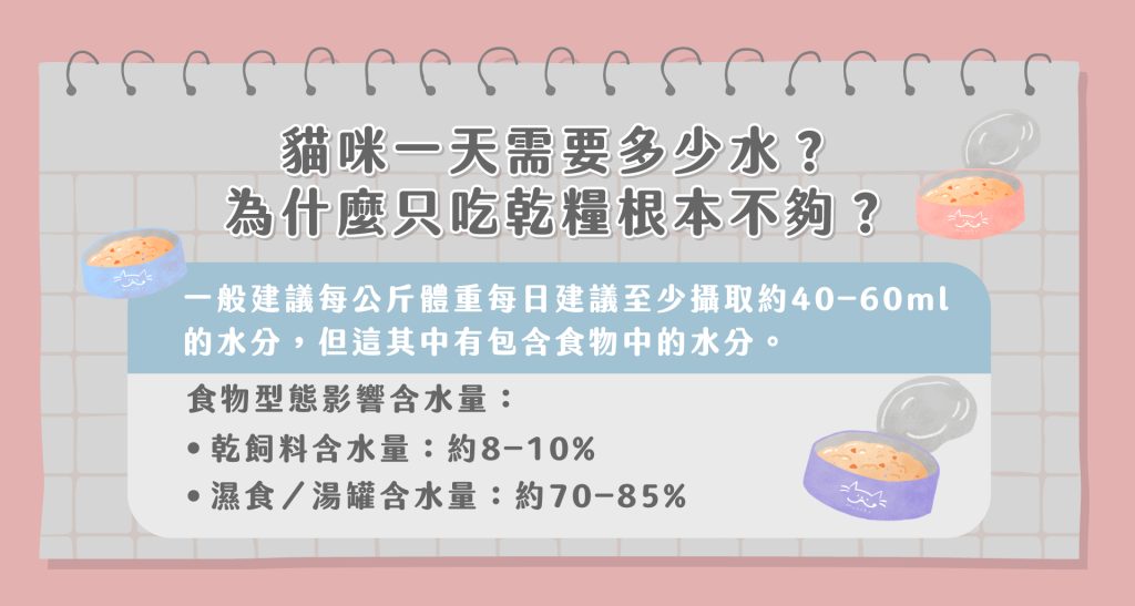 貓咪不愛喝水